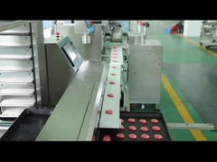 स्लाइस कुकीज़ एन्क्रस्टिंग मशीनरी 100 ग्राम बिस्किट निर्माण मशीन